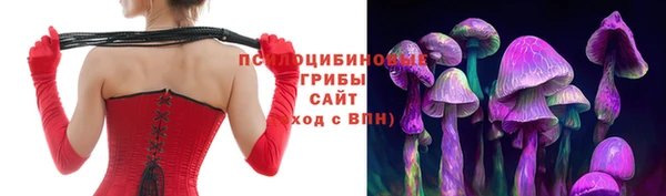крисы Абинск