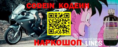 стафф Камышлов