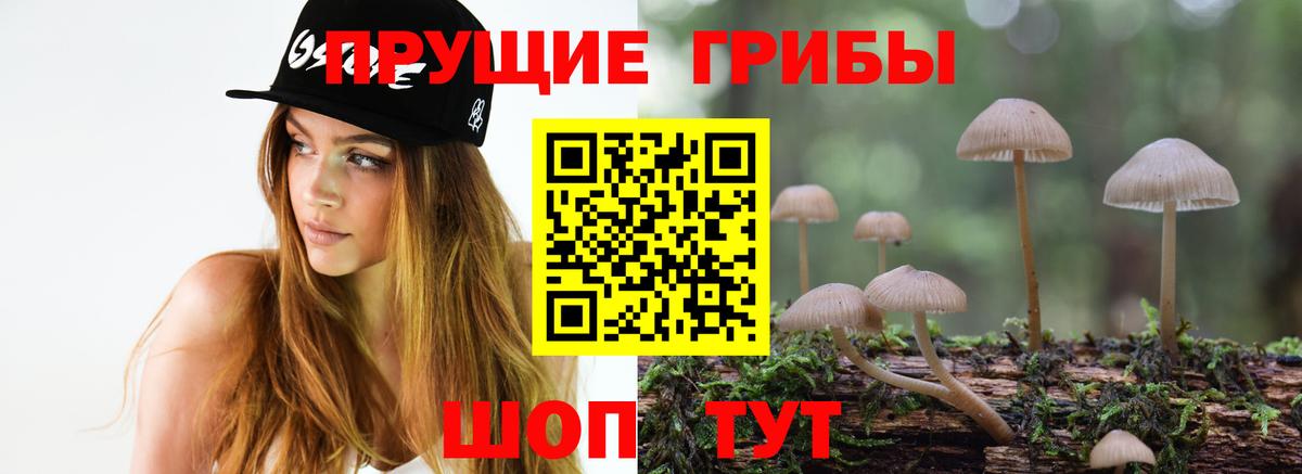 Псилоцибиновые грибы мицелий  Галлюциногенные грибы мицелий  Вход с VPN  Новотроицк 
