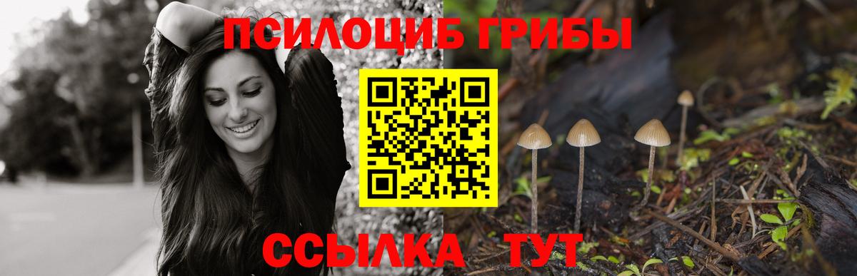 Галлюциногенные грибы GOLDEN TEACHER Новотроицк
